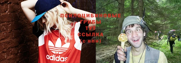 эйфоретик Абаза
