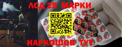 трава Сланцы