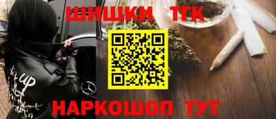 гашик Моздок