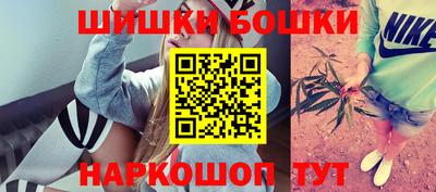 гашик Моздок