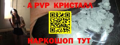 гашик Моздок