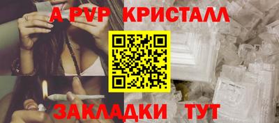 гашик Моздок