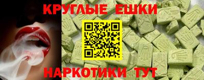 гашик Моздок